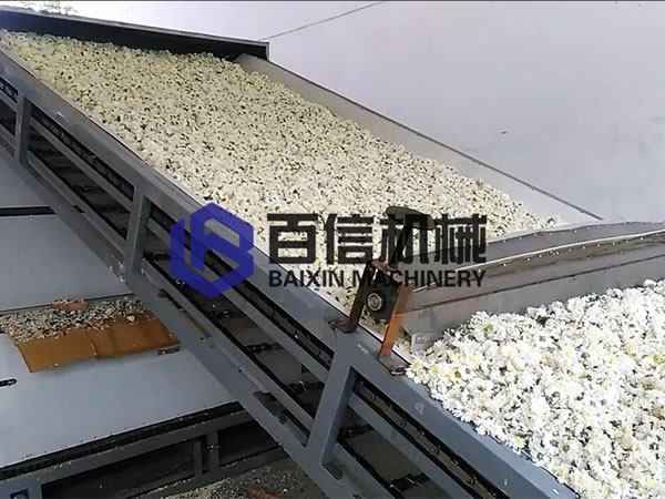 杭白菊烘干设备案例